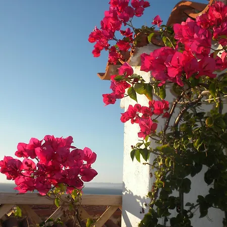 Domus De Janas B&B 4*